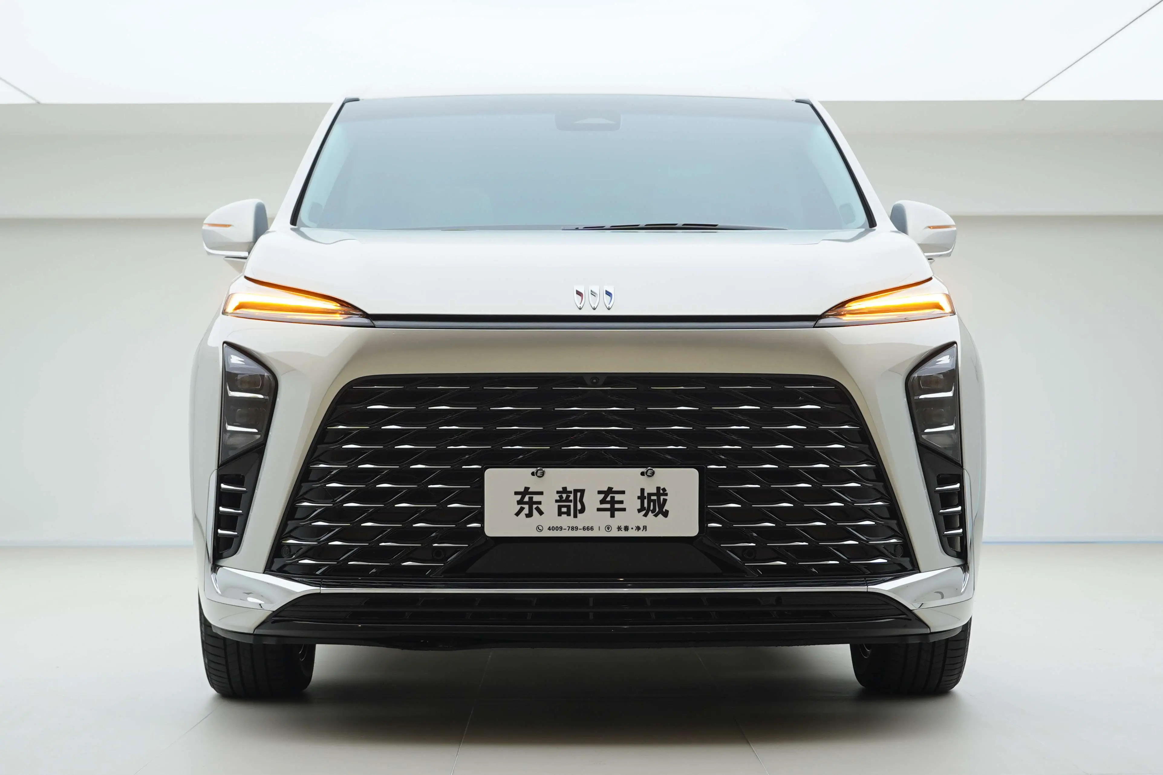 Buick GL8 PHEV  из Китая