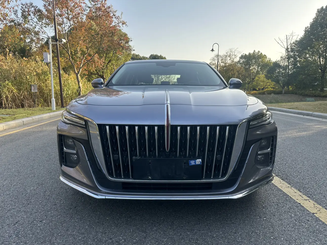 Hongqi H5  из Китая