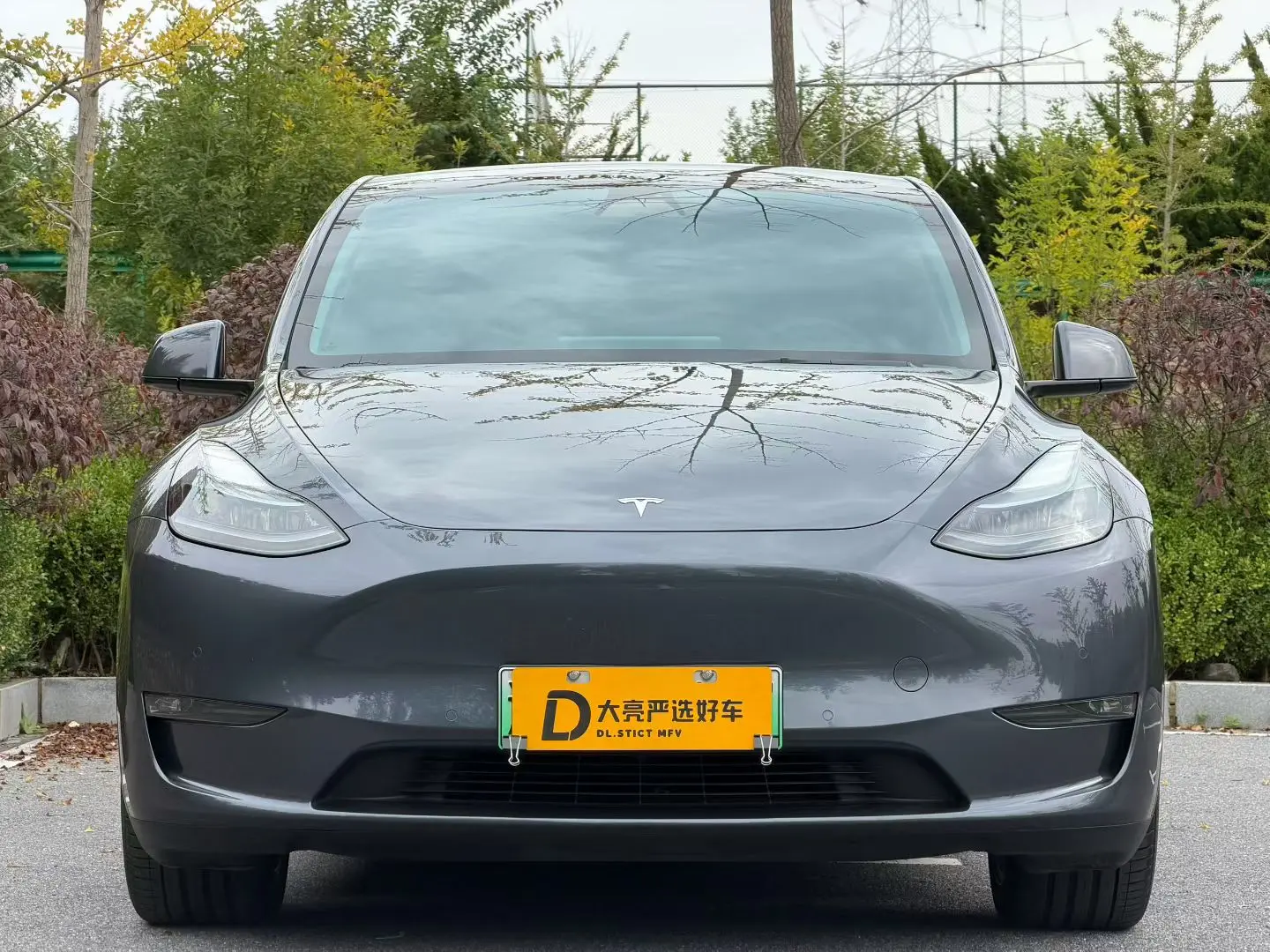 Tesla Model Y  из Китая
