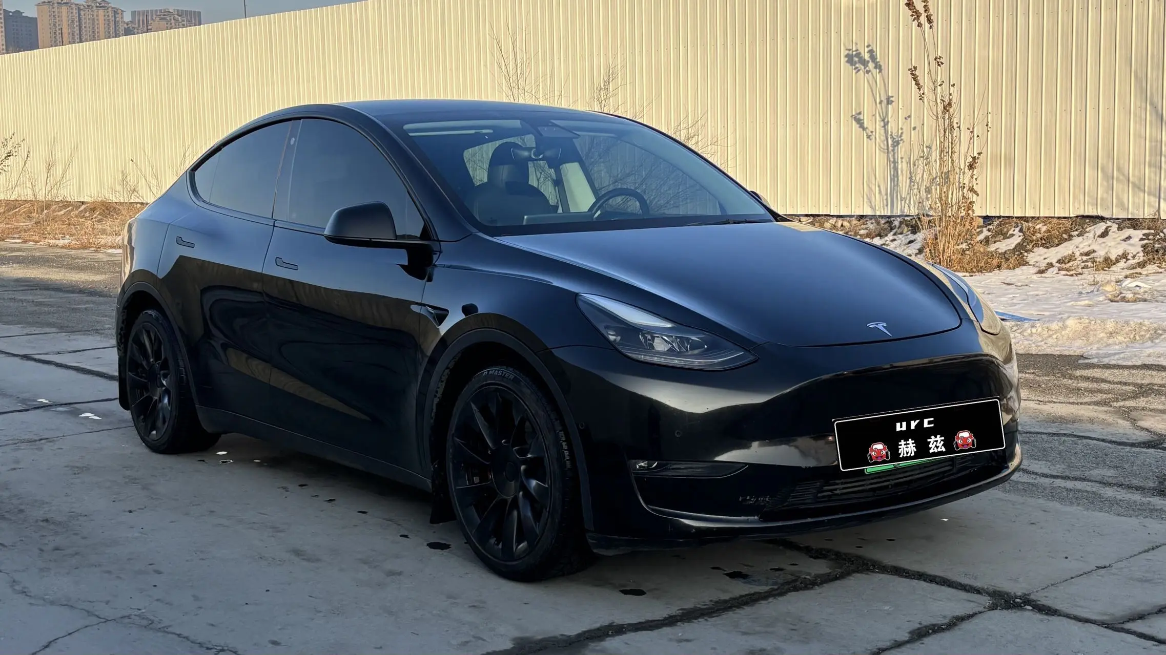 Tesla Model Y  из Китая
