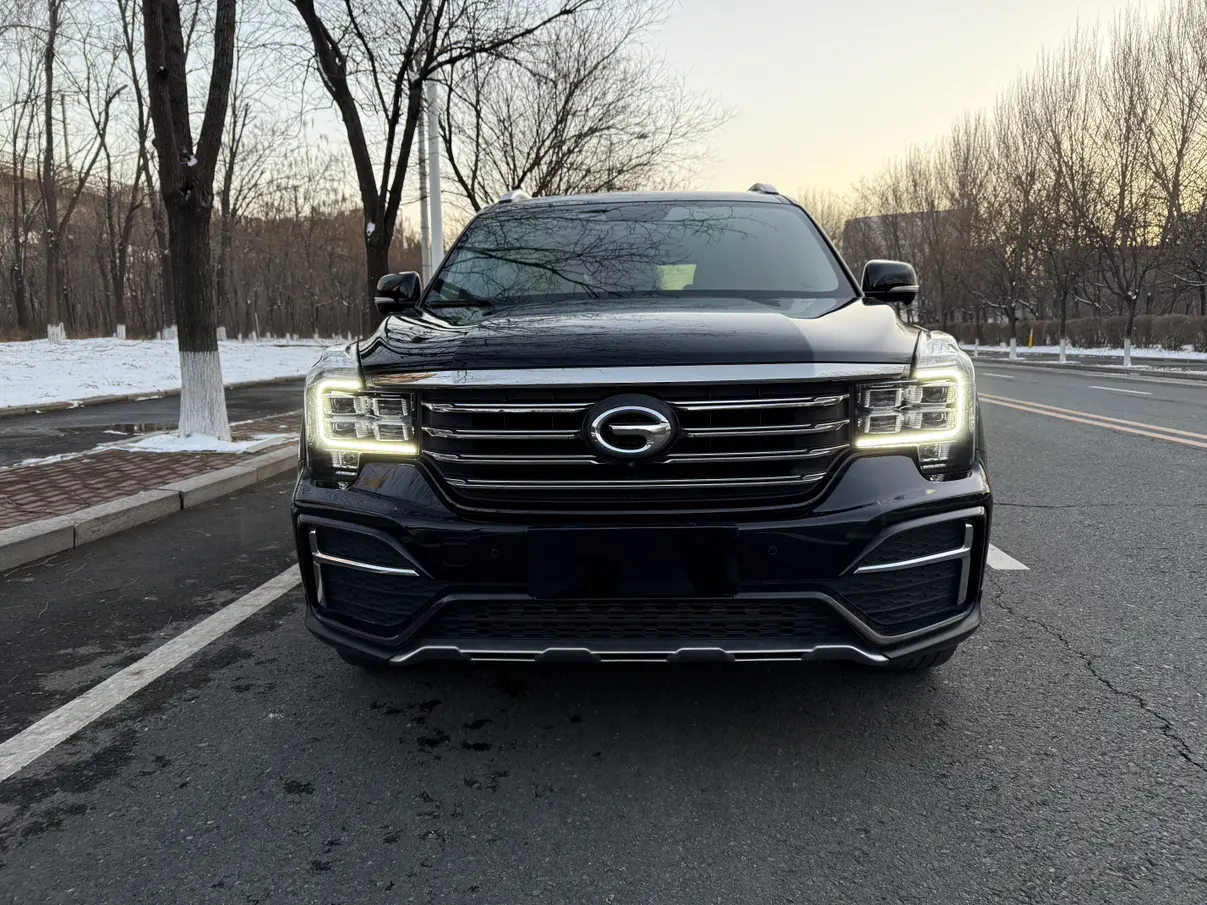 GAC Trumpchi GS8  из Китая