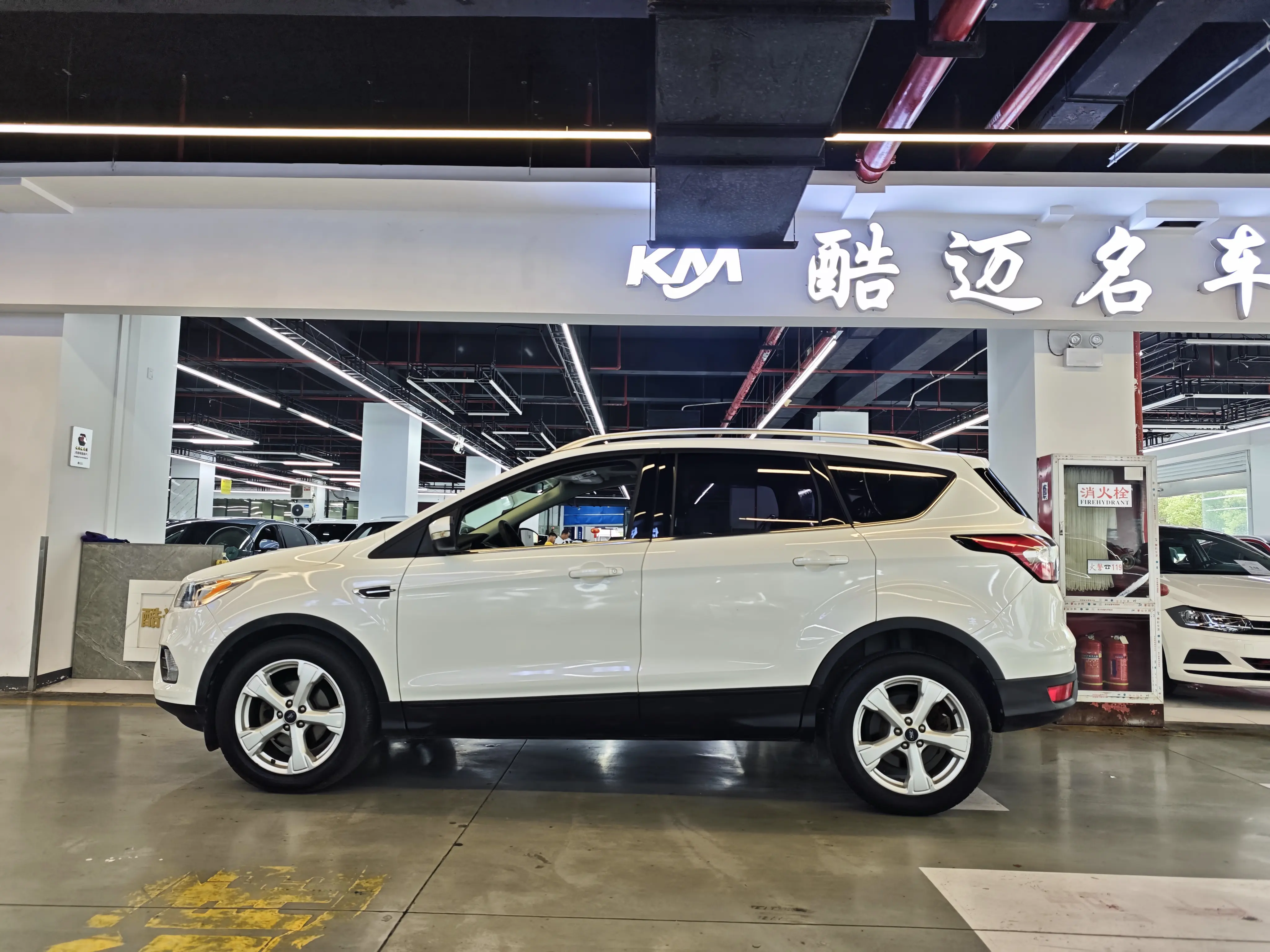 Ford Wing tiger  из Китая