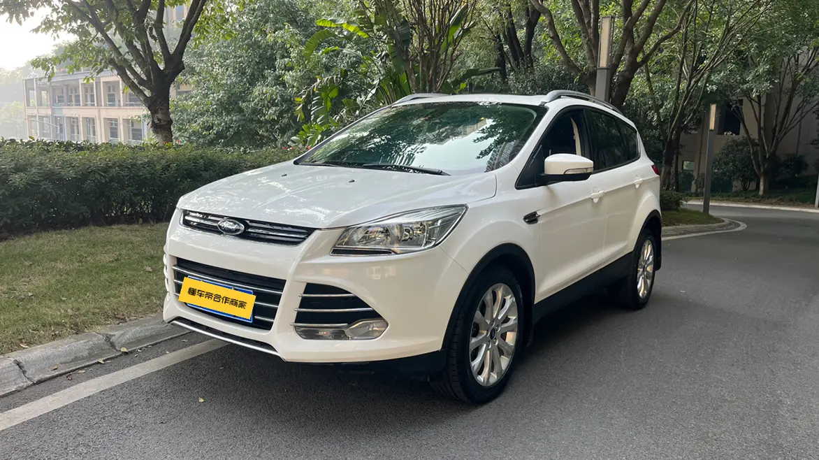 Ford Wing tiger  из Китая