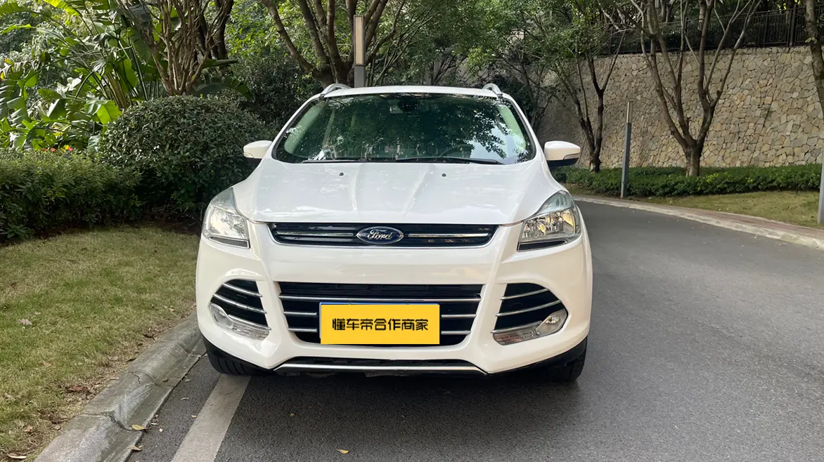 Ford Wing tiger  из Китая