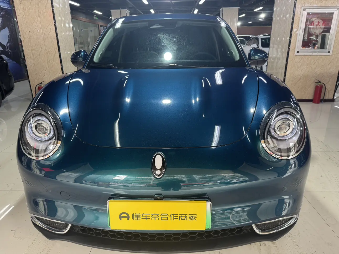 ORA Euler good cat  из Китая