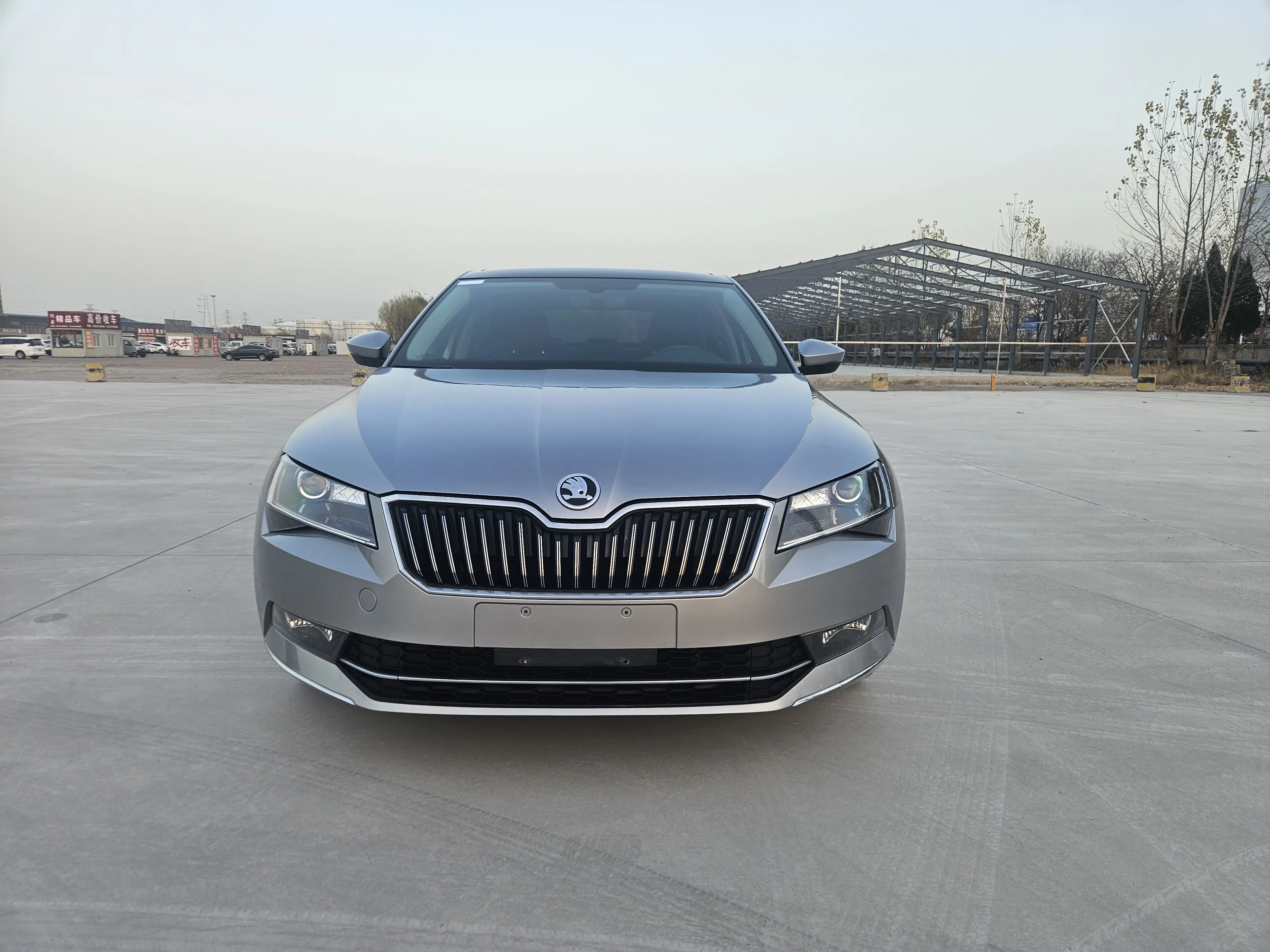 Skoda Speedy  из Китая