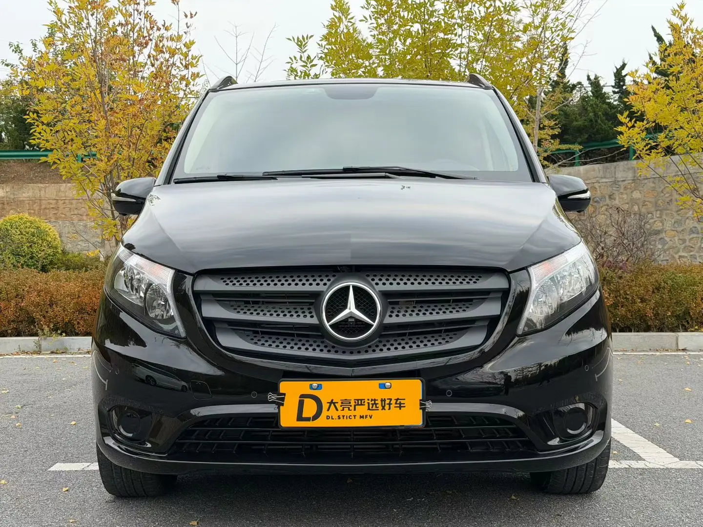 Mercedes-Benz Vito  из Китая
