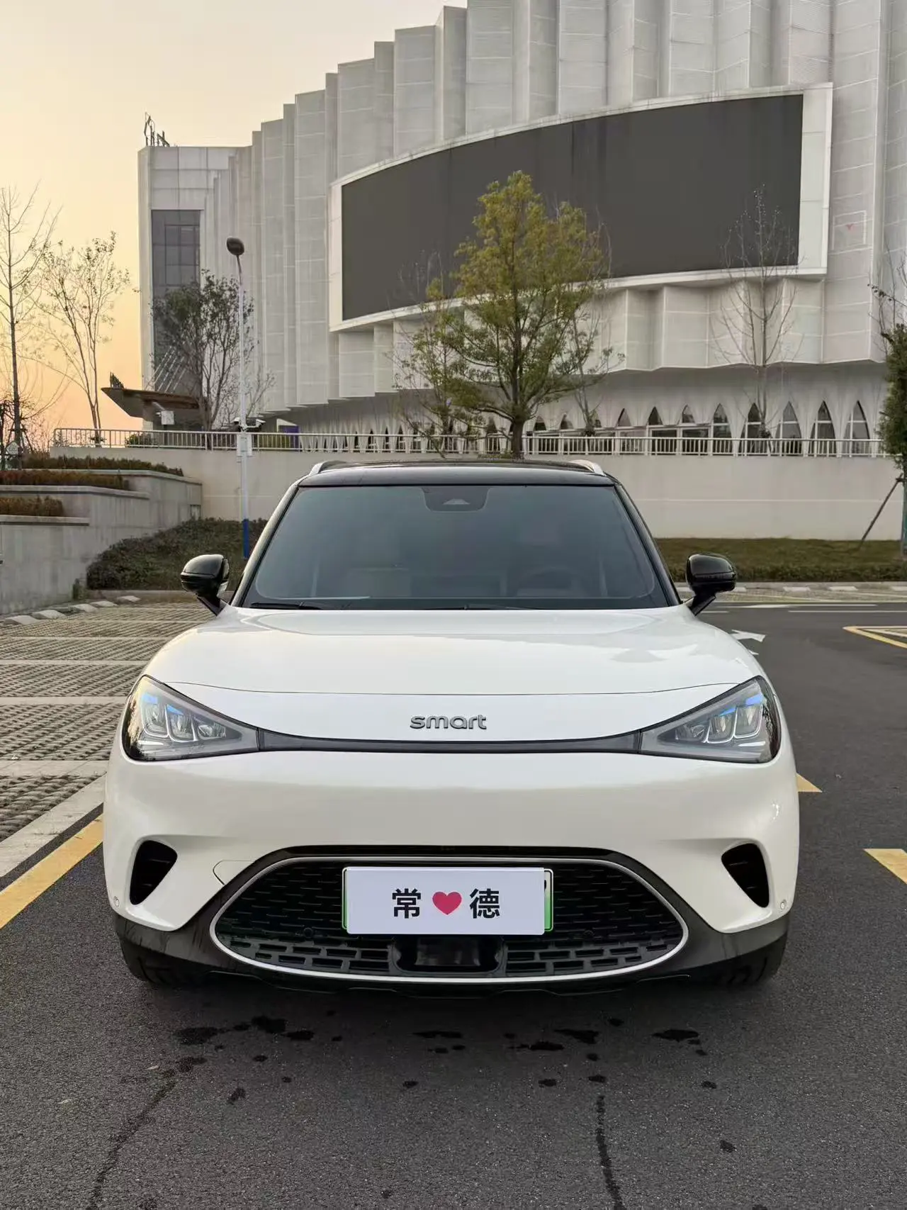 Smart elf #1  из Китая