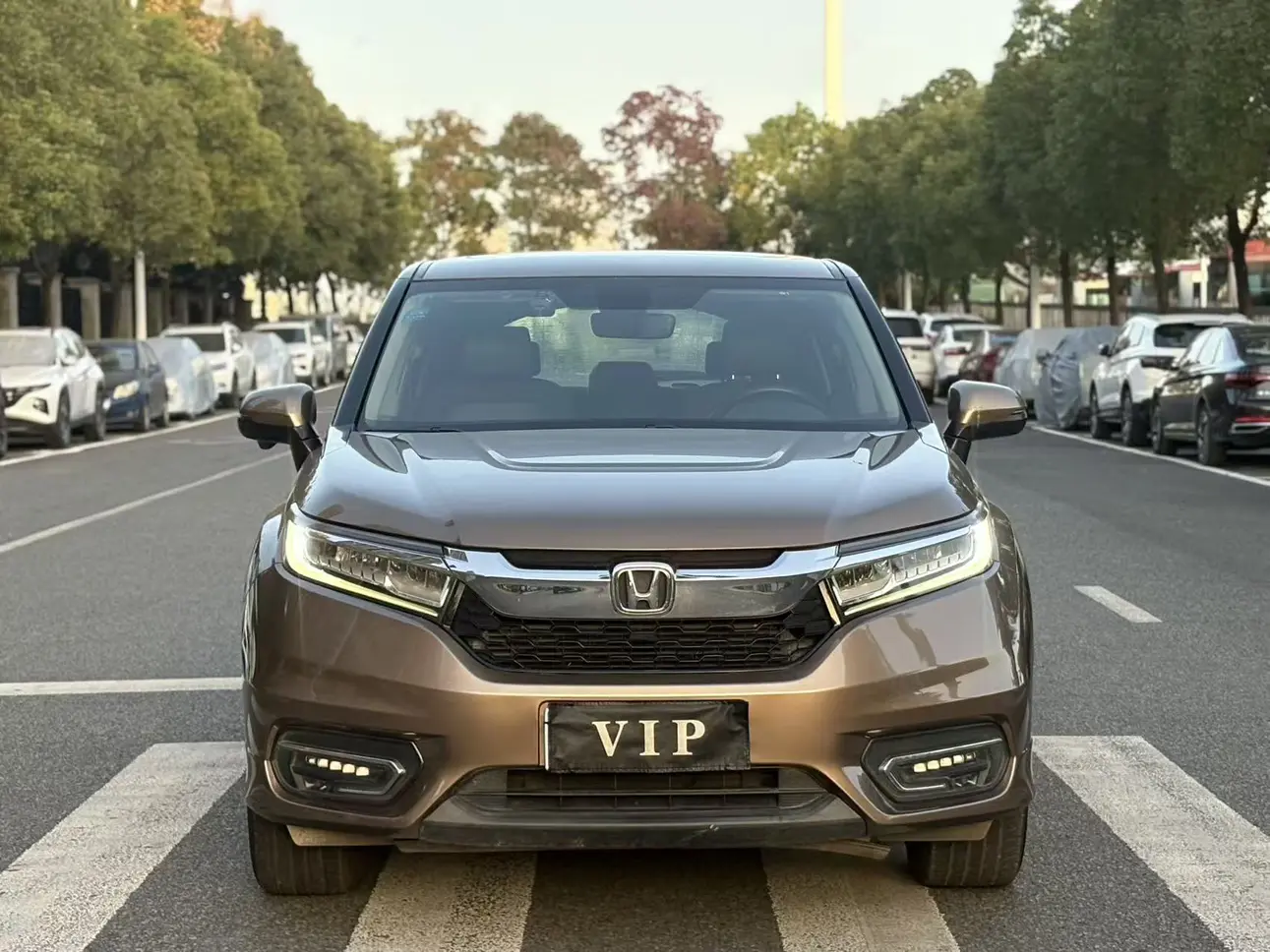 Honda Avancier (Crown Road)  из Китая