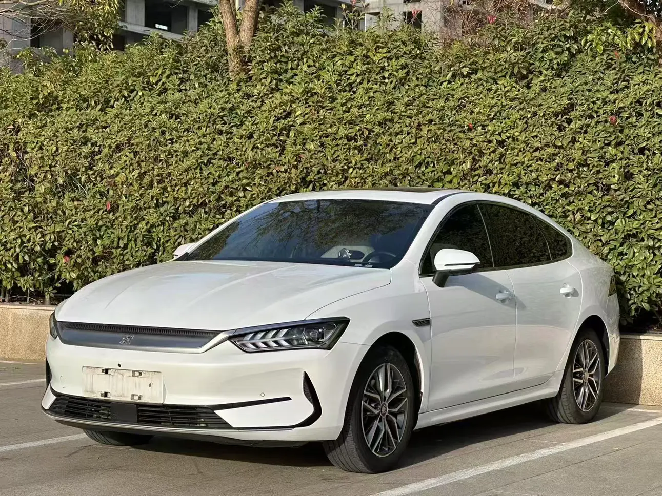 BYD Qin PLUS EV  из Китая