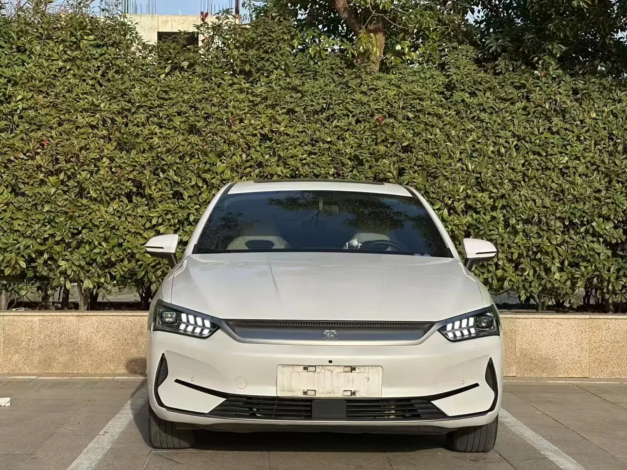 BYD Qin PLUS EV  из Китая