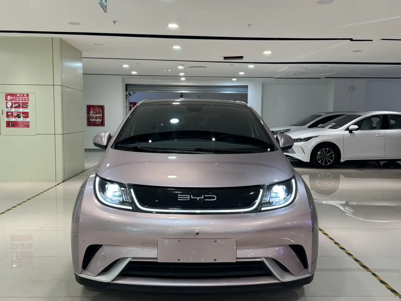 BYD Dolphin  из Китая