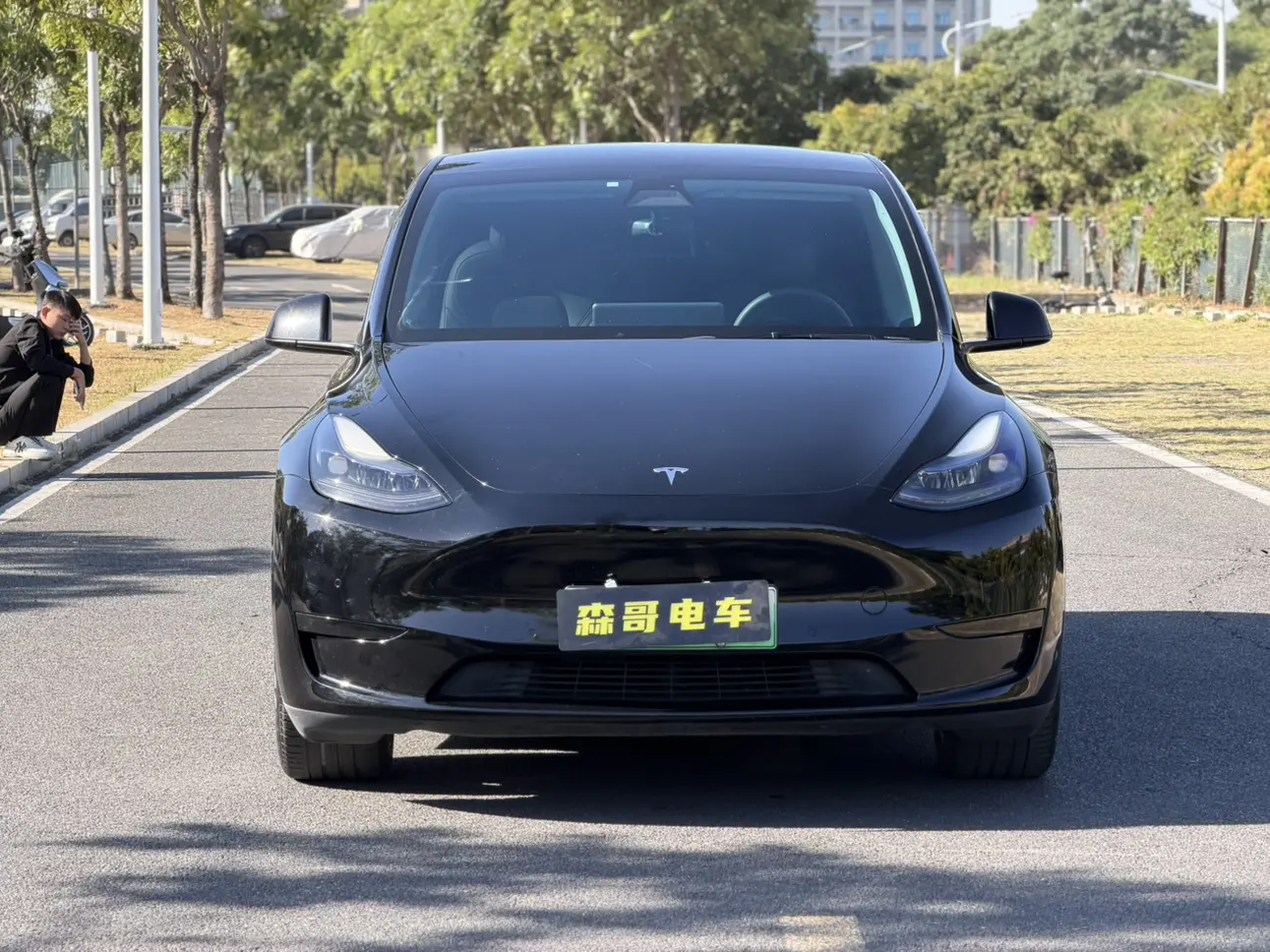 Tesla Model Y  из Китая