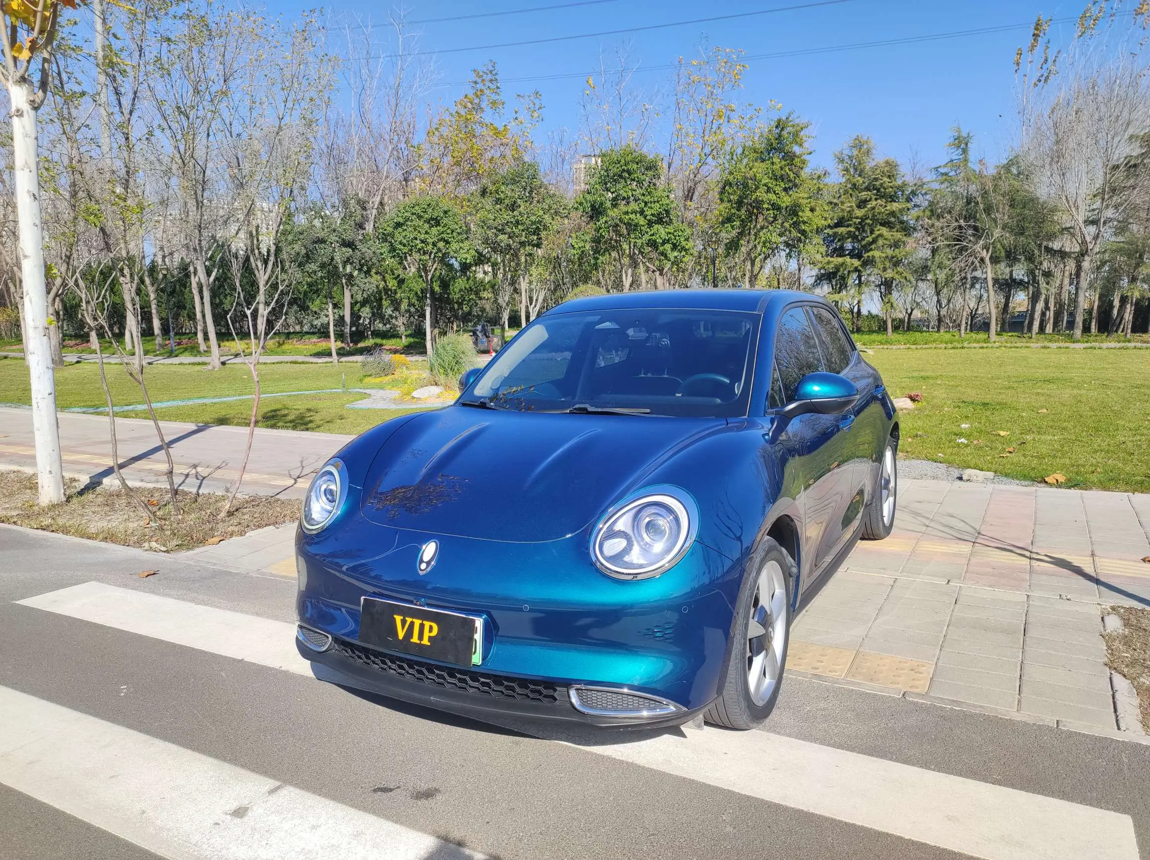 ORA Euler good cat  из Китая