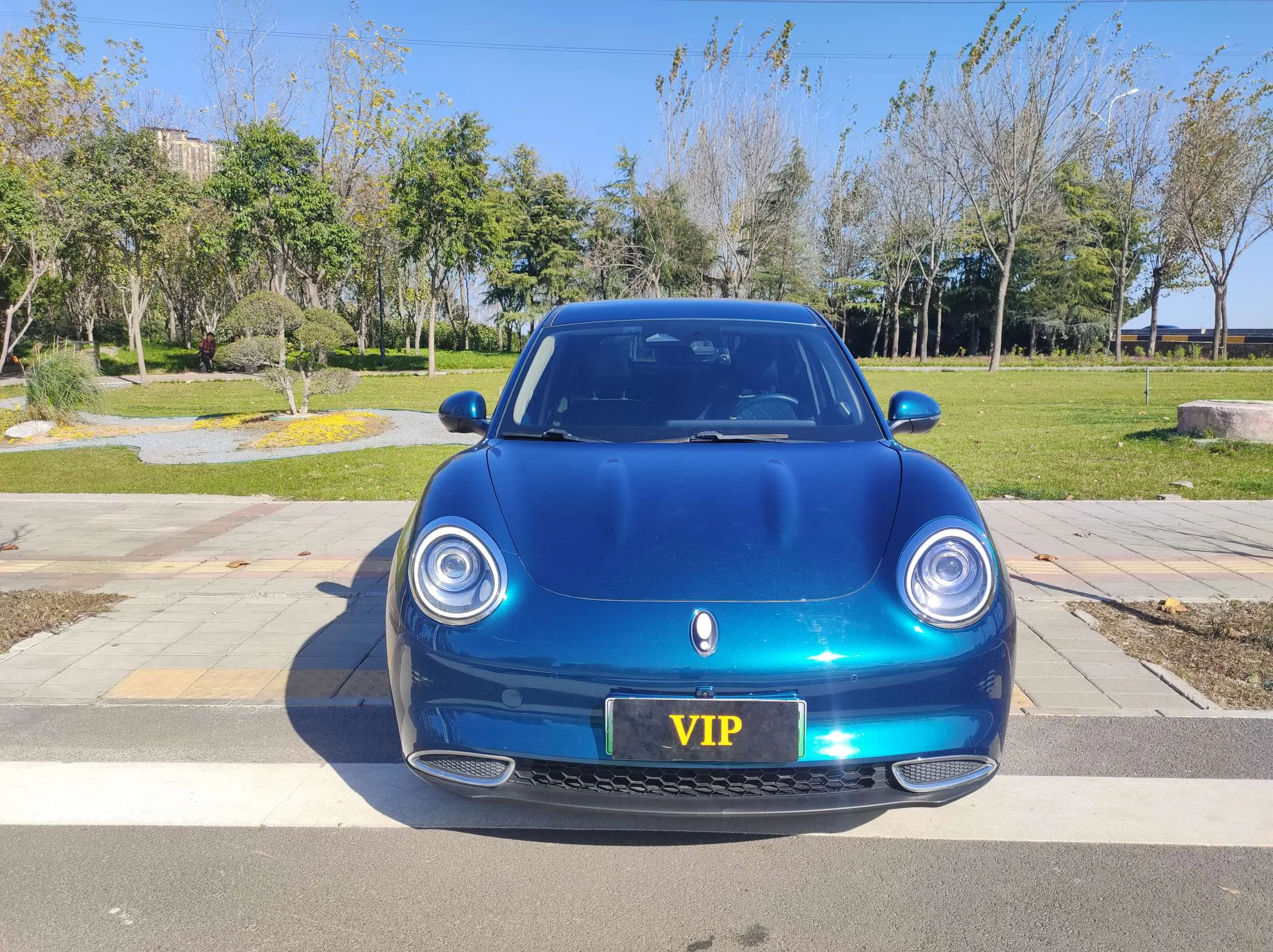 ORA Euler good cat  из Китая