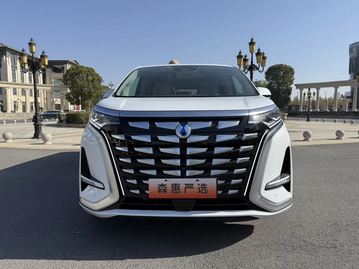 Denza D9 DM  из Китая