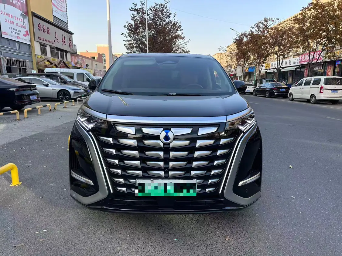 Denza D9 DM  из Китая