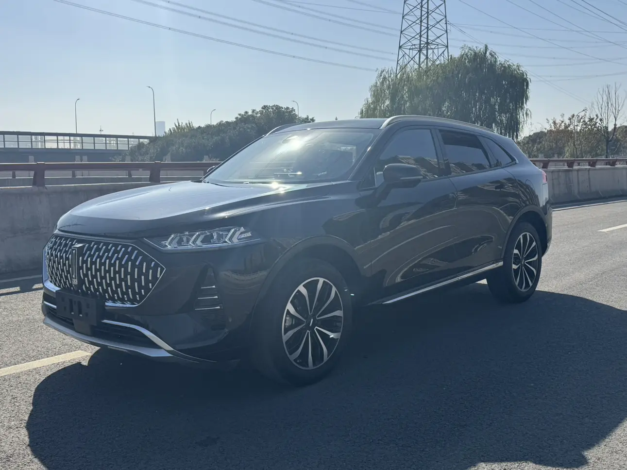 Wey Mocha  из Китая