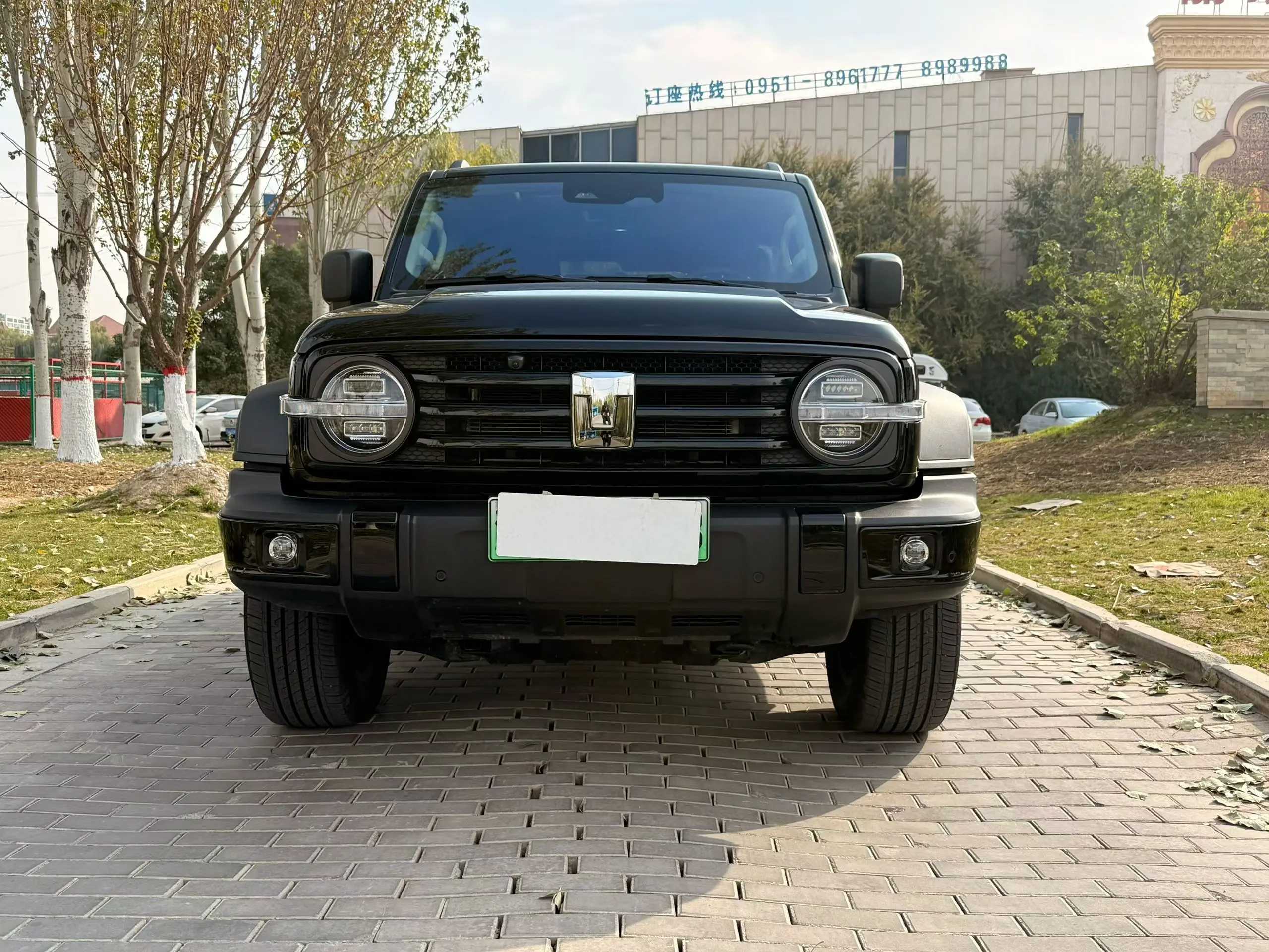 Tank 300 Hi4-T  из Китая