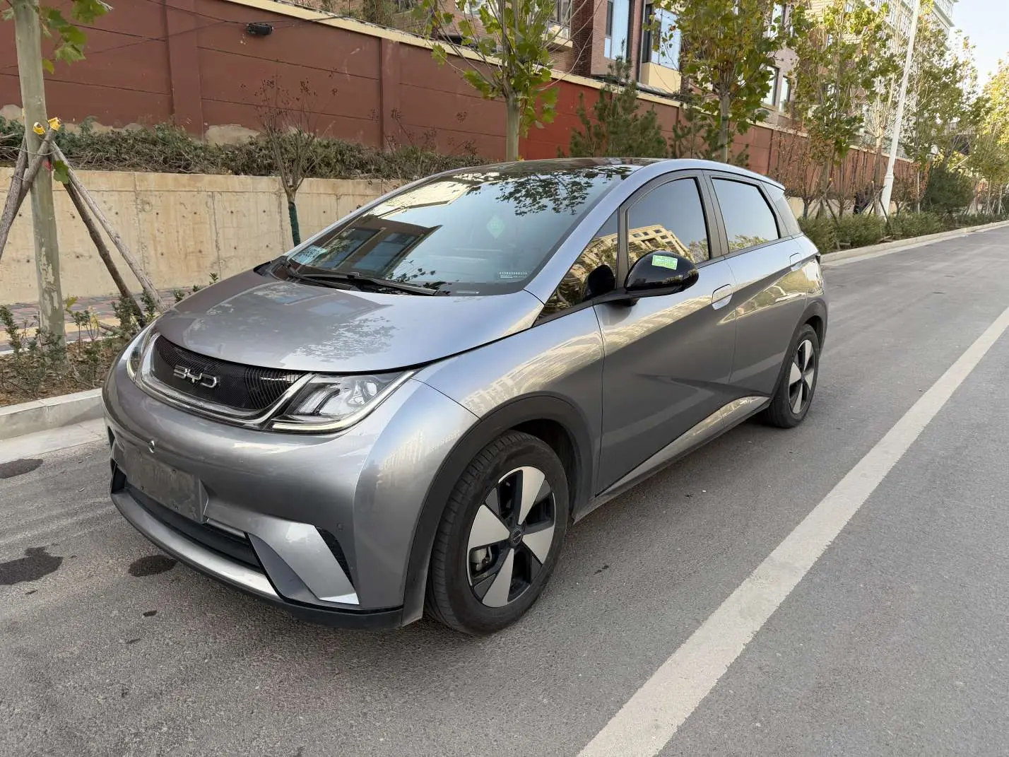 BYD Dolphin  из Китая