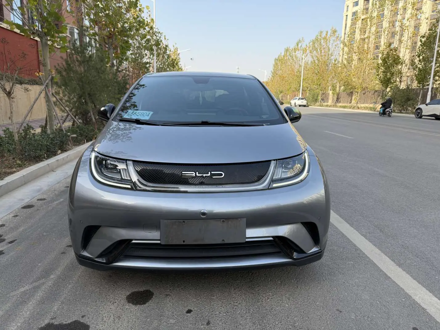 BYD Dolphin  из Китая