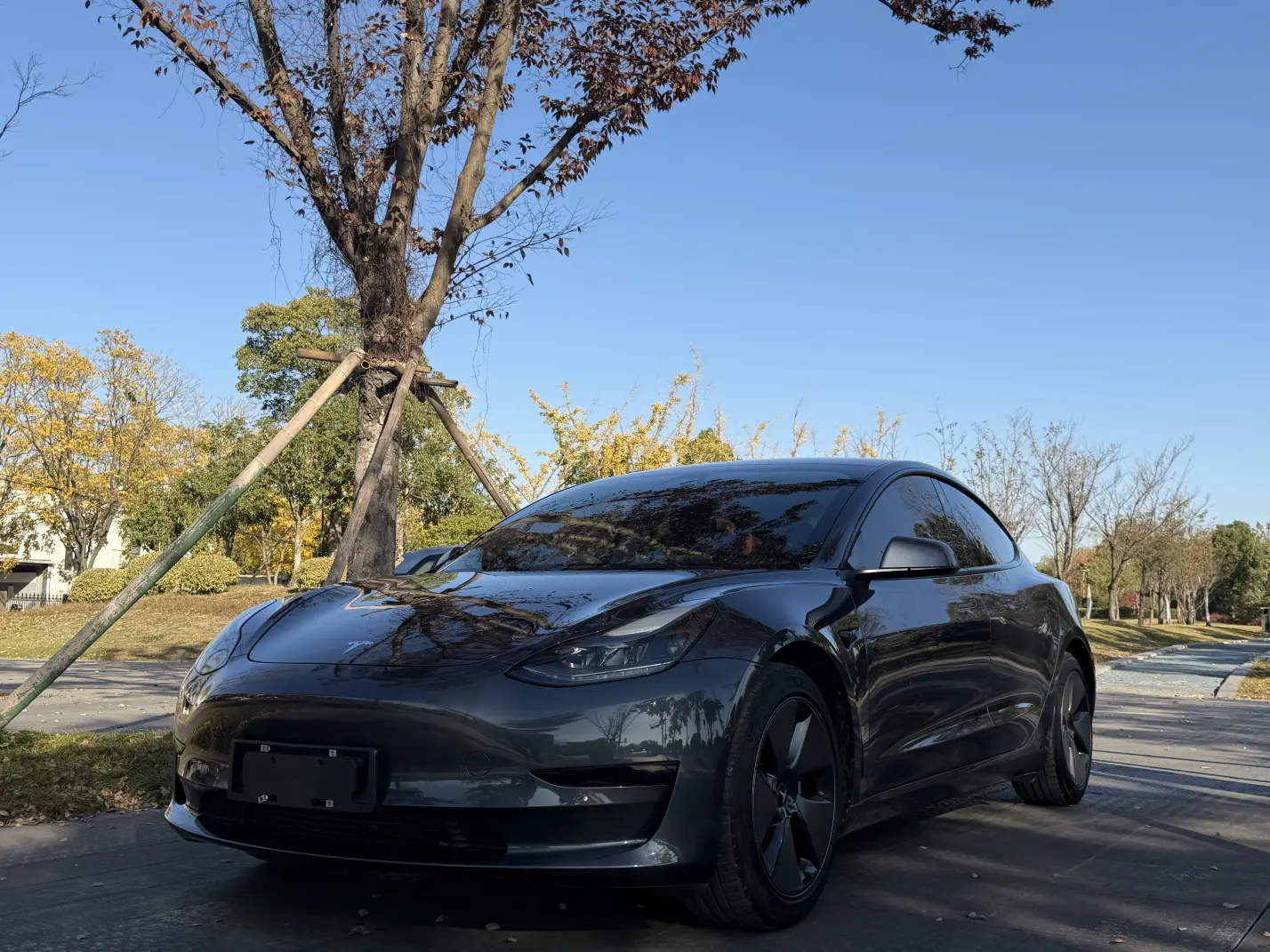 Tesla Model 3  из Китая