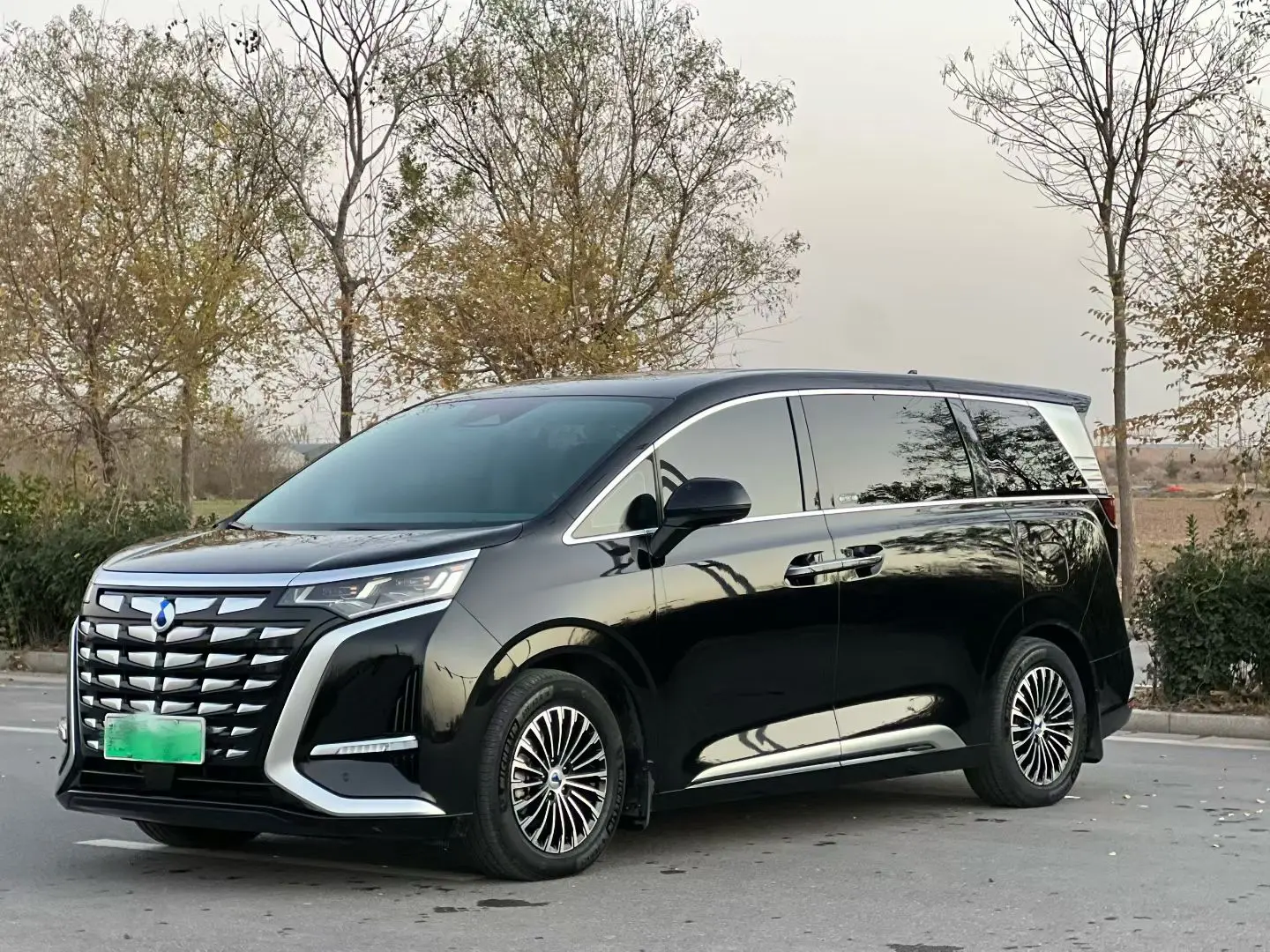 Denza D9 DM  из Китая