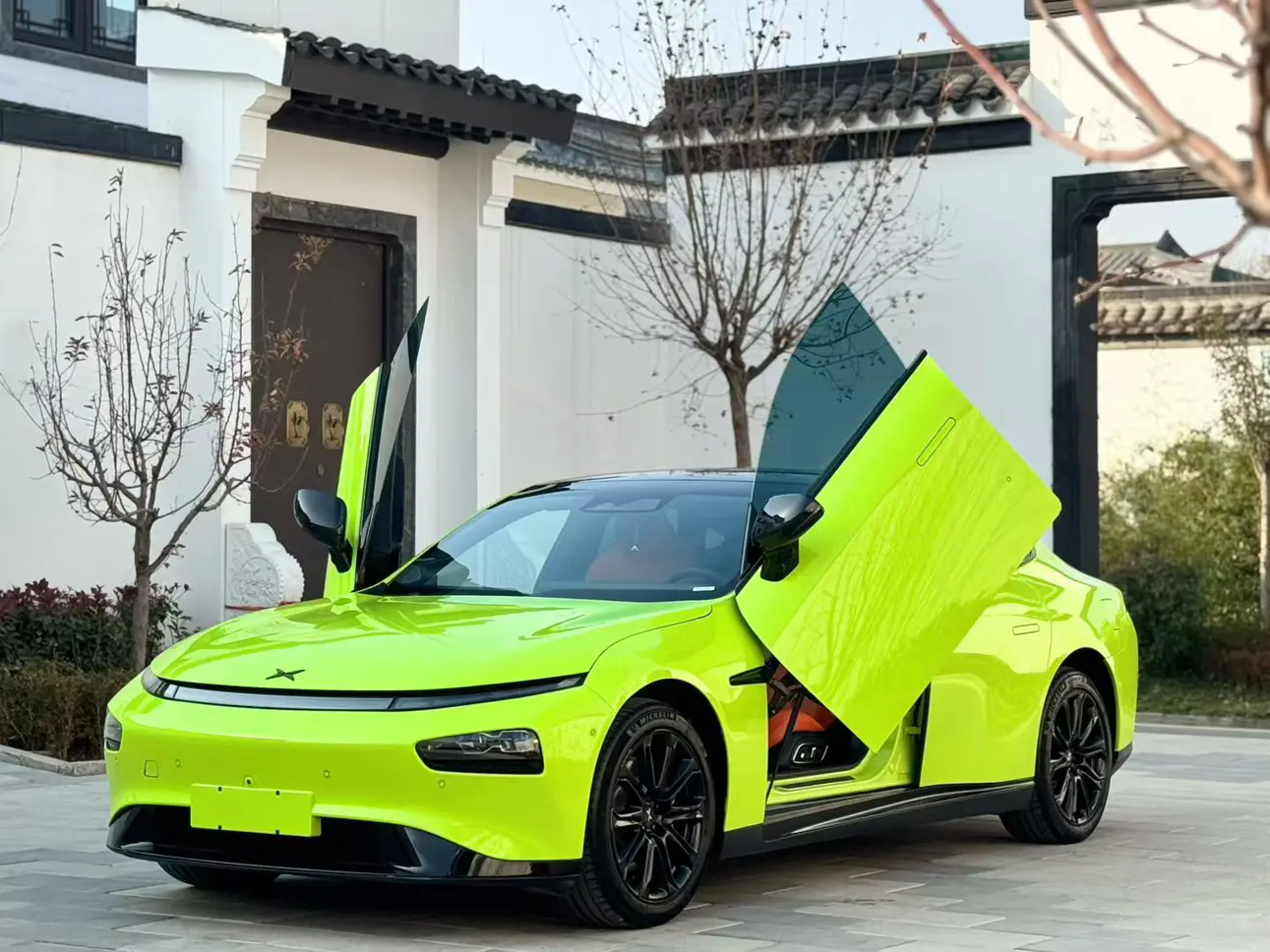 Xpeng P7  из Китая