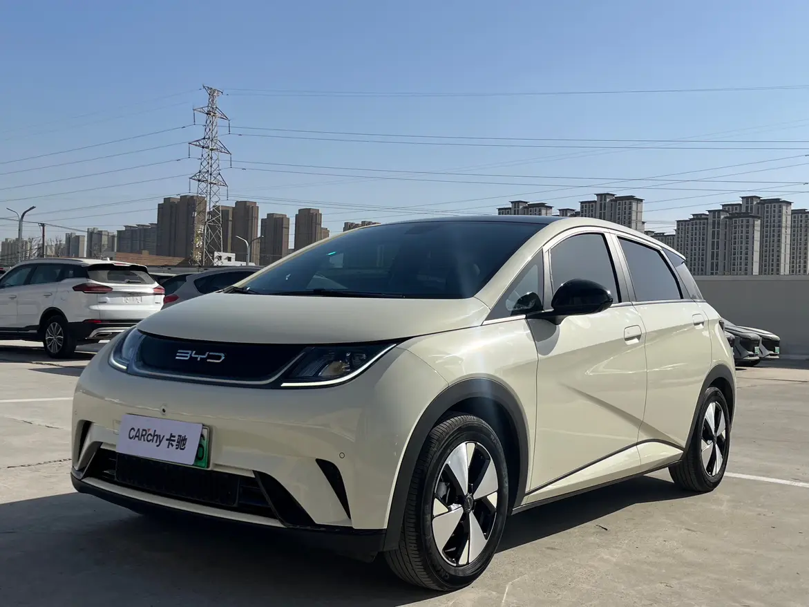 BYD Dolphin  из Китая