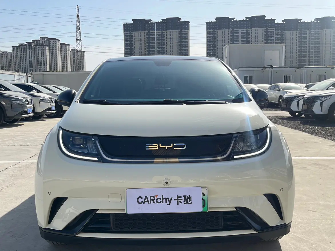 BYD Dolphin  из Китая