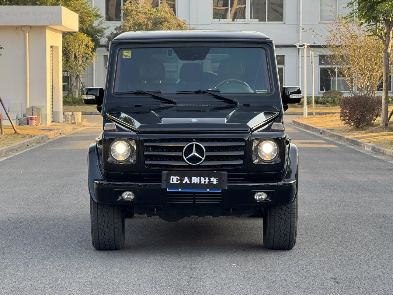 Mercedes-Benz Mercedes Benz G Class  из Китая