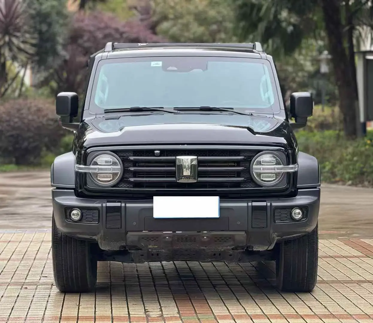 Tank 300  из Китая