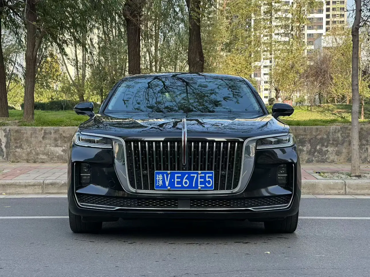 Hongqi H9  из Китая