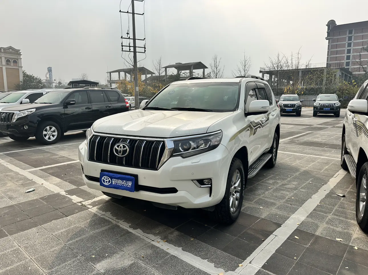 Toyota Prado