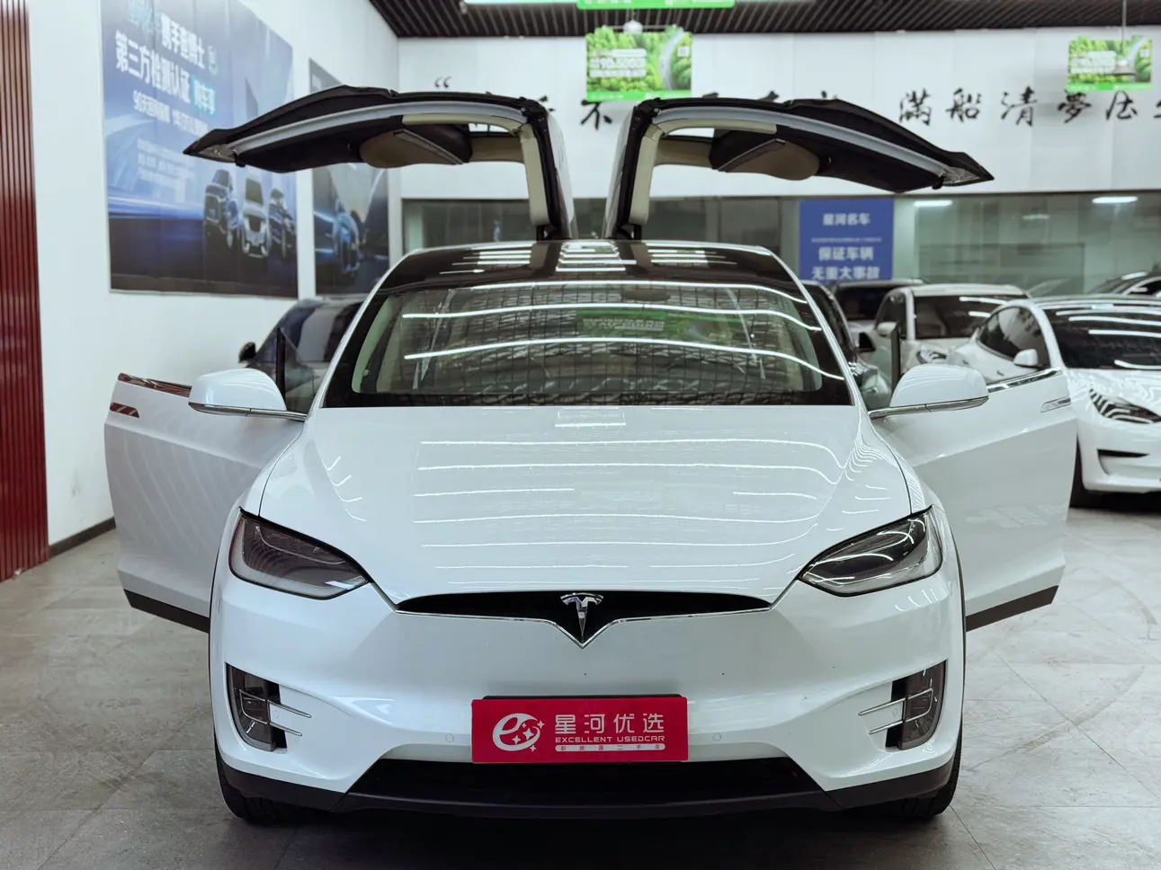 Tesla Model X  из Китая