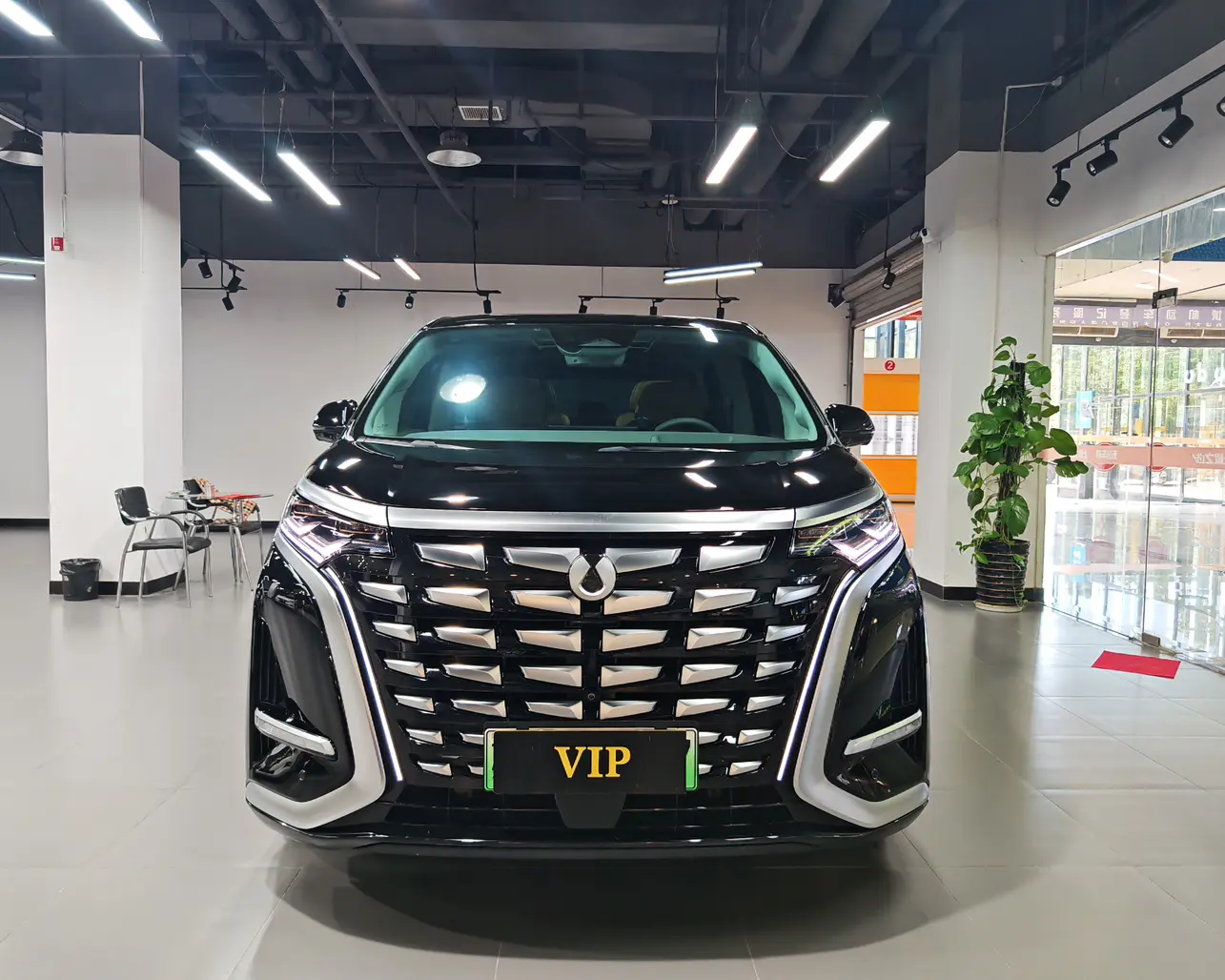 Denza D9 DM  из Китая