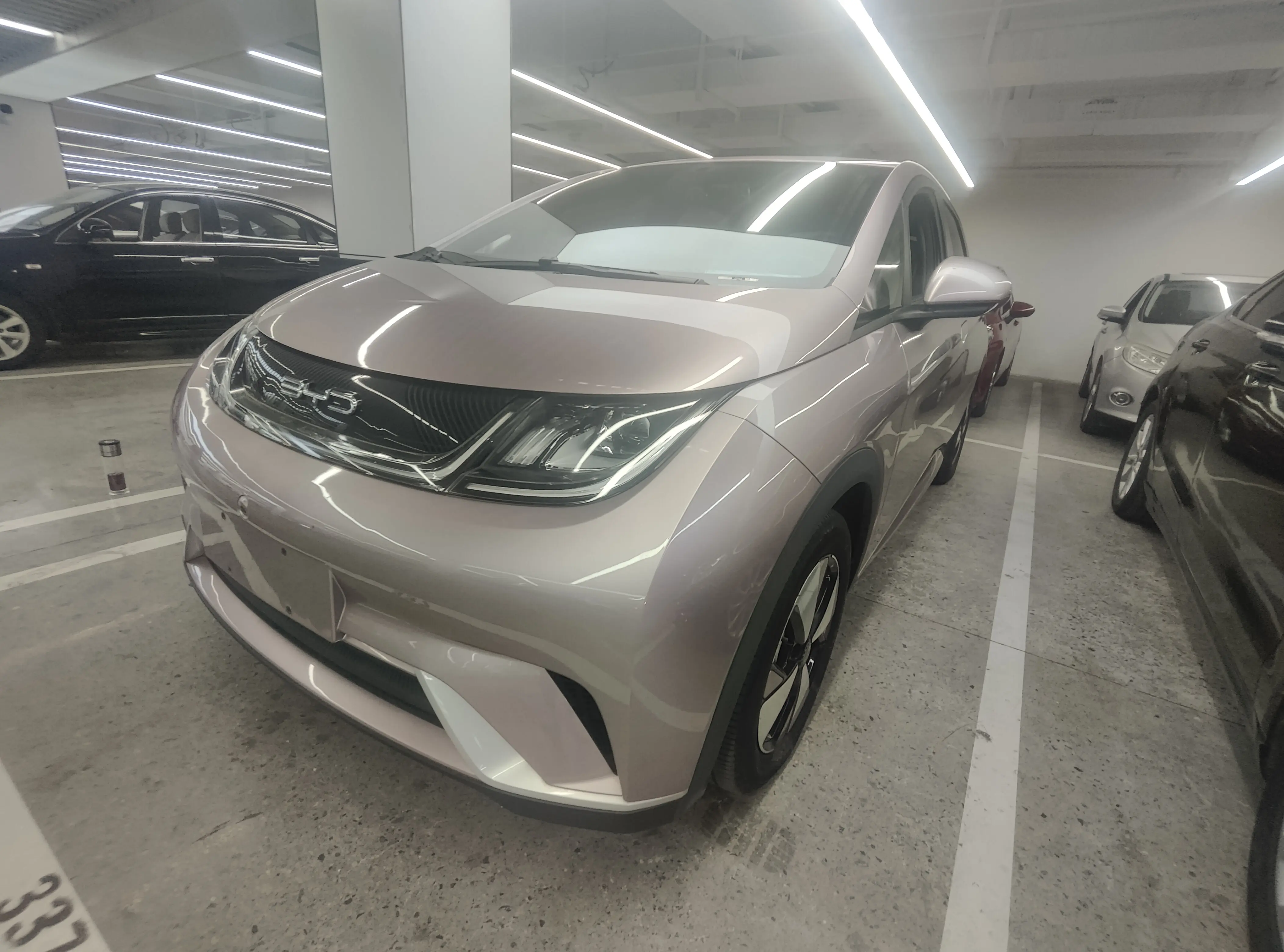 BYD Dolphin  из Китая