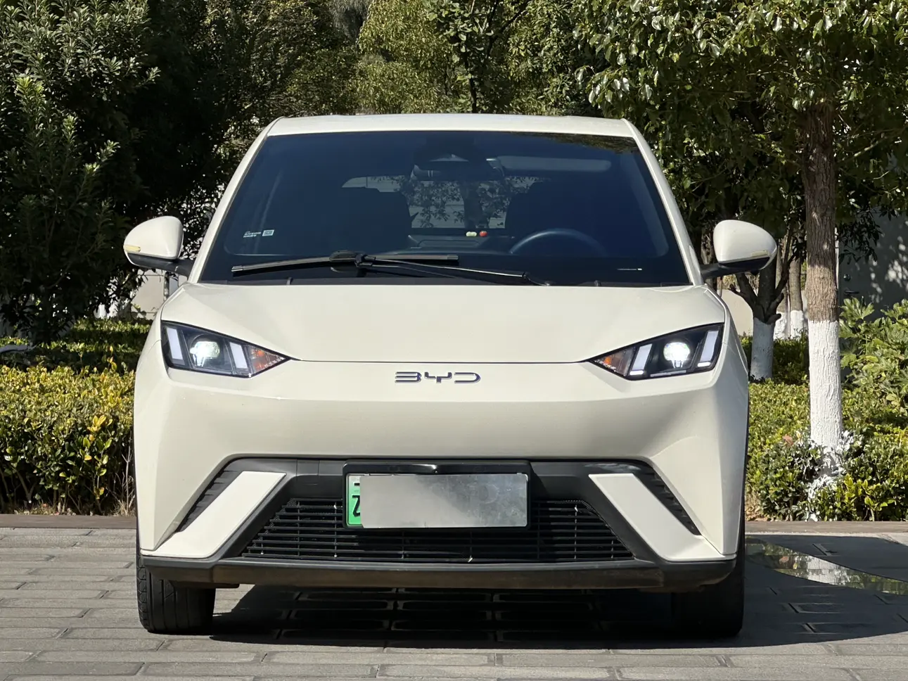 BYD Seagull  из Китая