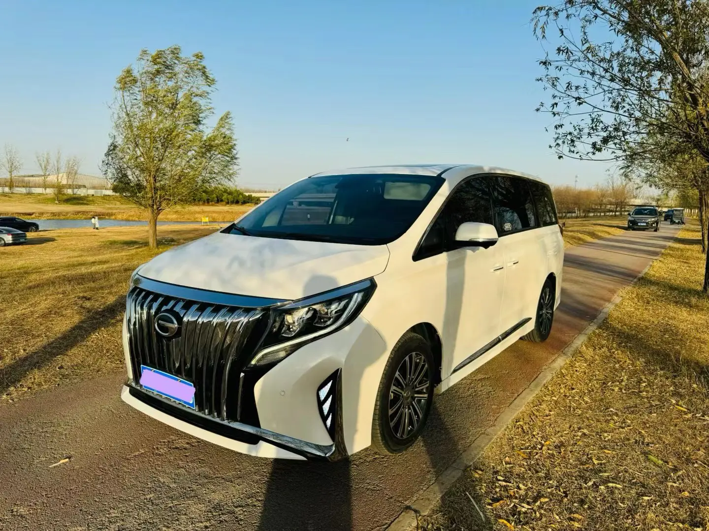 GAC Trumpchi M8  из Китая