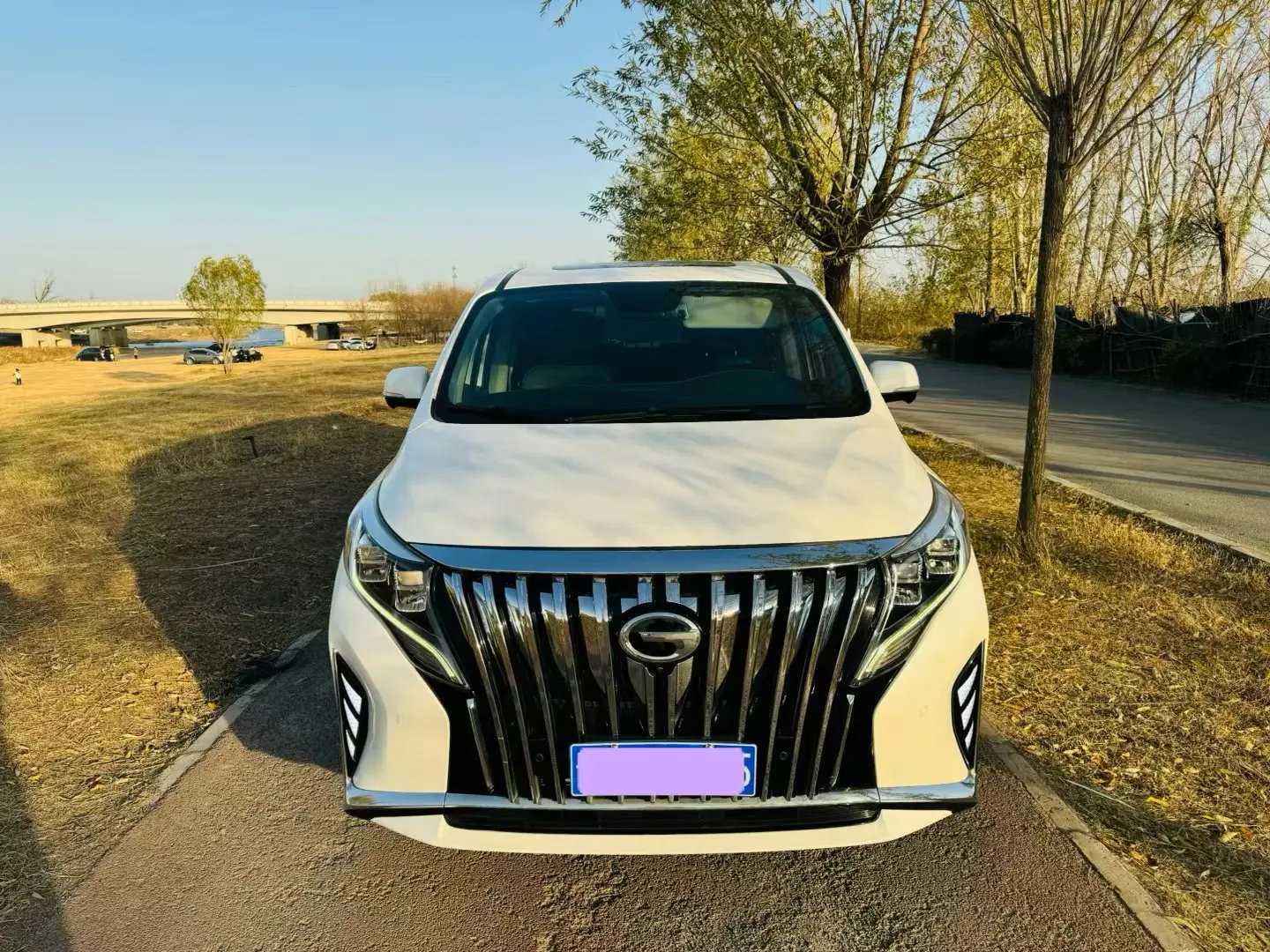 GAC Trumpchi M8  из Китая