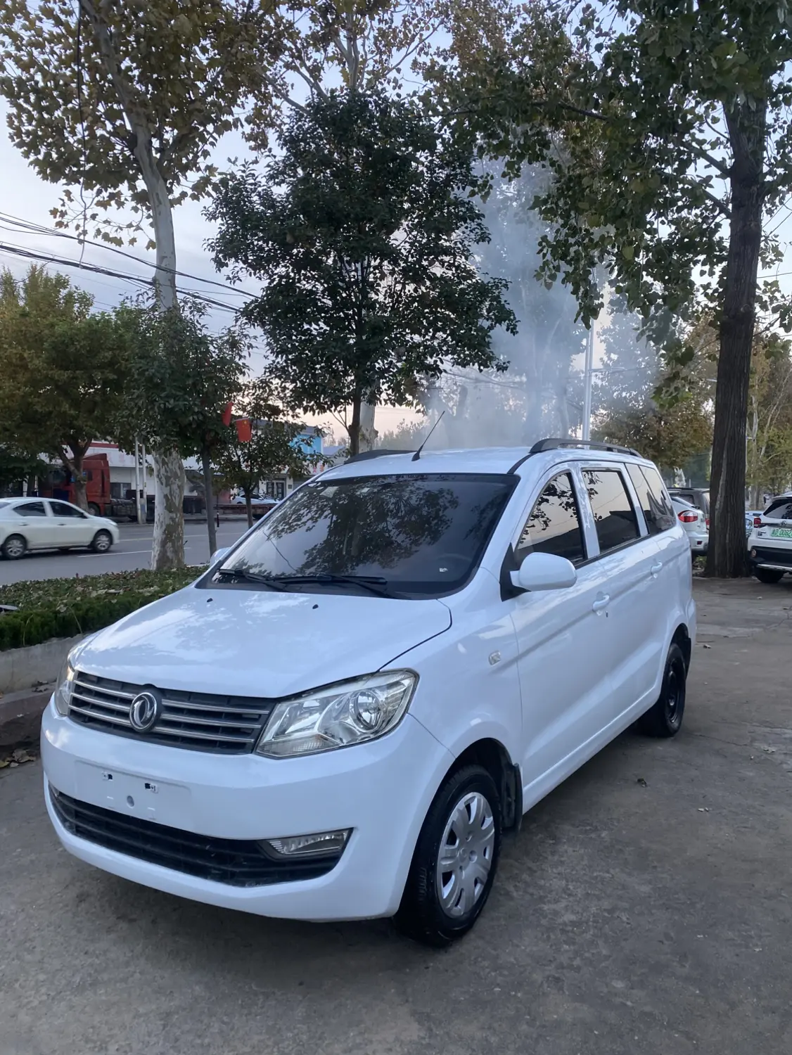 Dongfeng Fengon 330  из Китая