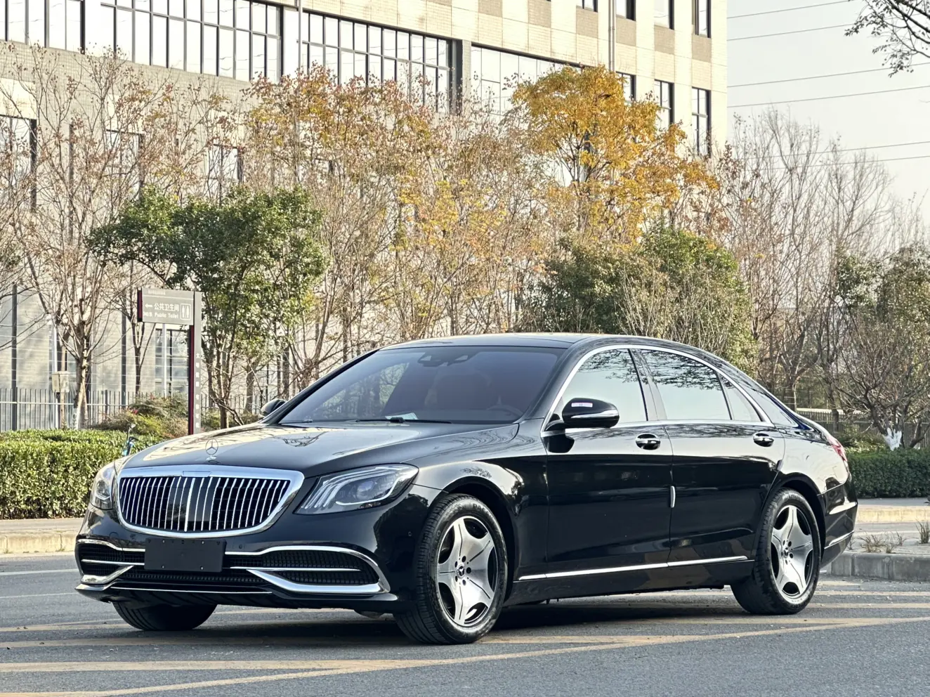 Mercedes-Benz Mercedes Benz S Class  из Китая