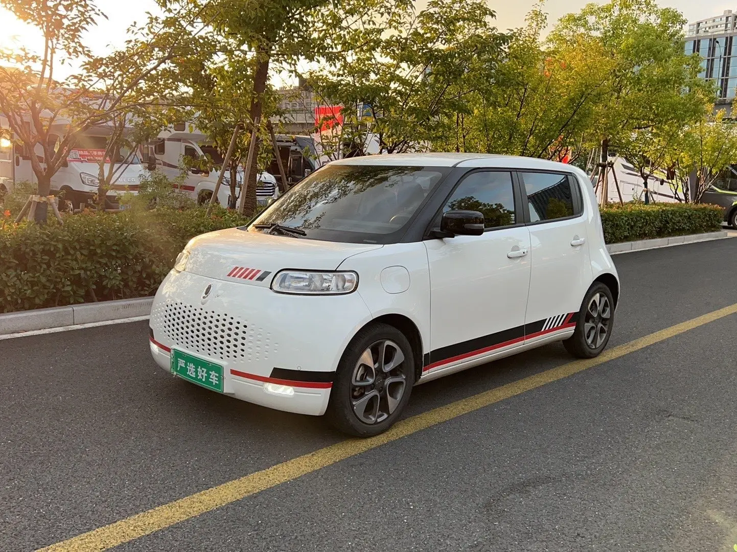 ORA Euler white cat  из Китая