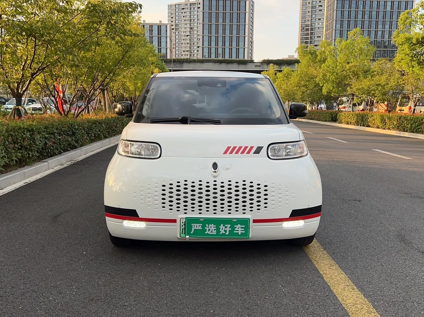 ORA Euler white cat  из Китая