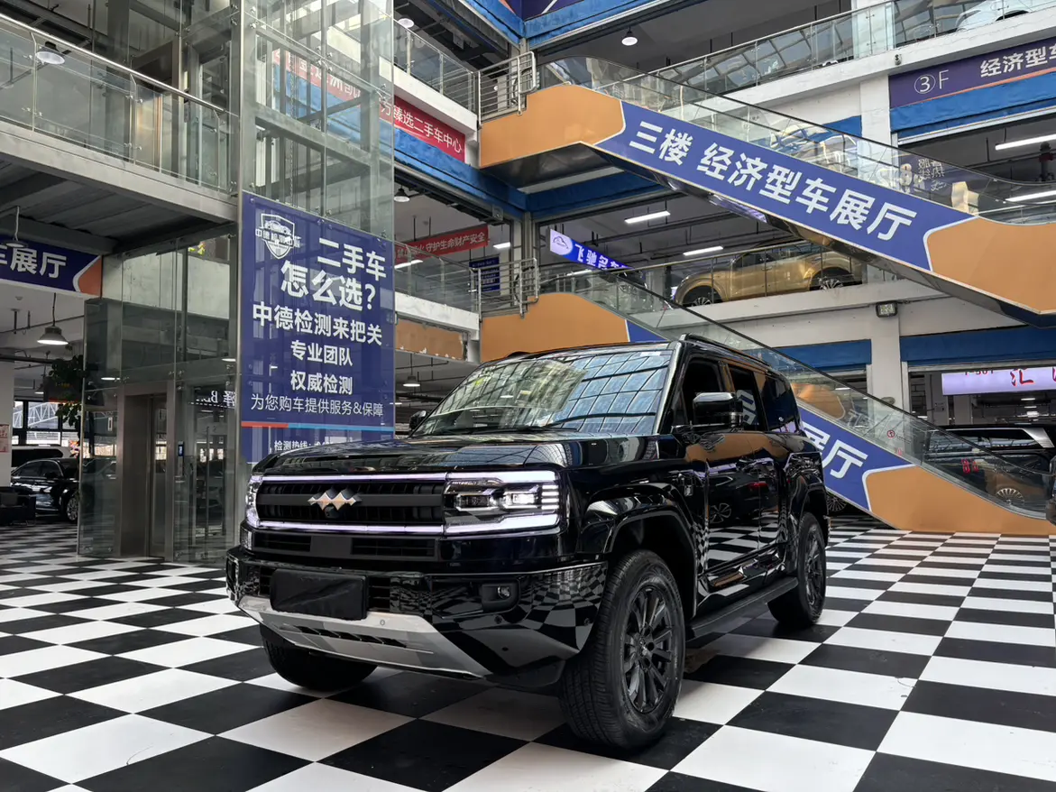 BYD Leopard Leopard 5  из Китая