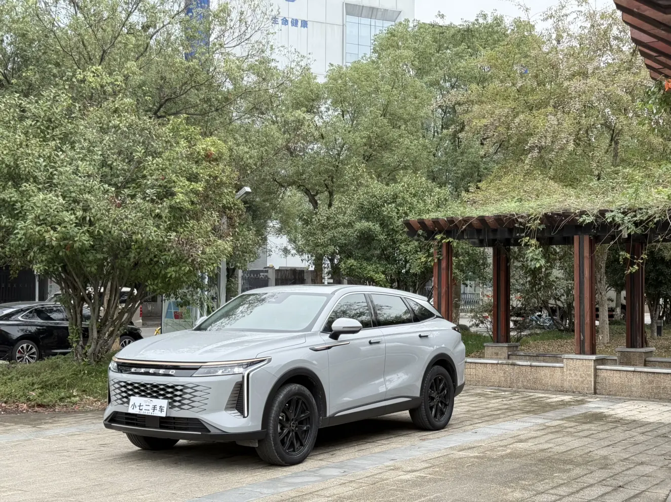 Exeed Star road yaoguang  из Китая