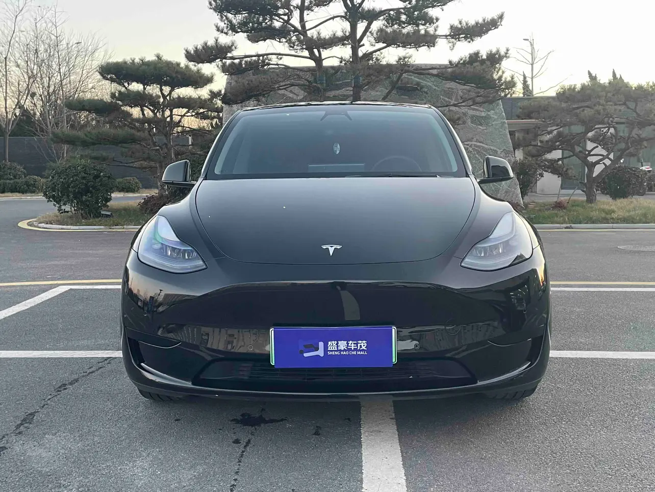 Tesla Model Y  из Китая