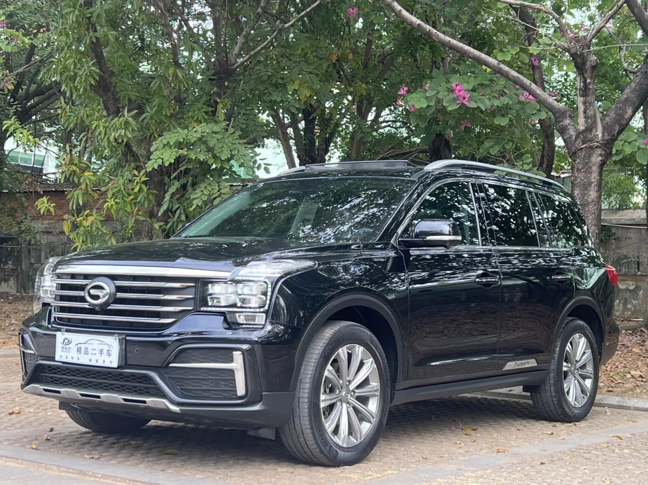 GAC Trumpchi GS8  из Китая
