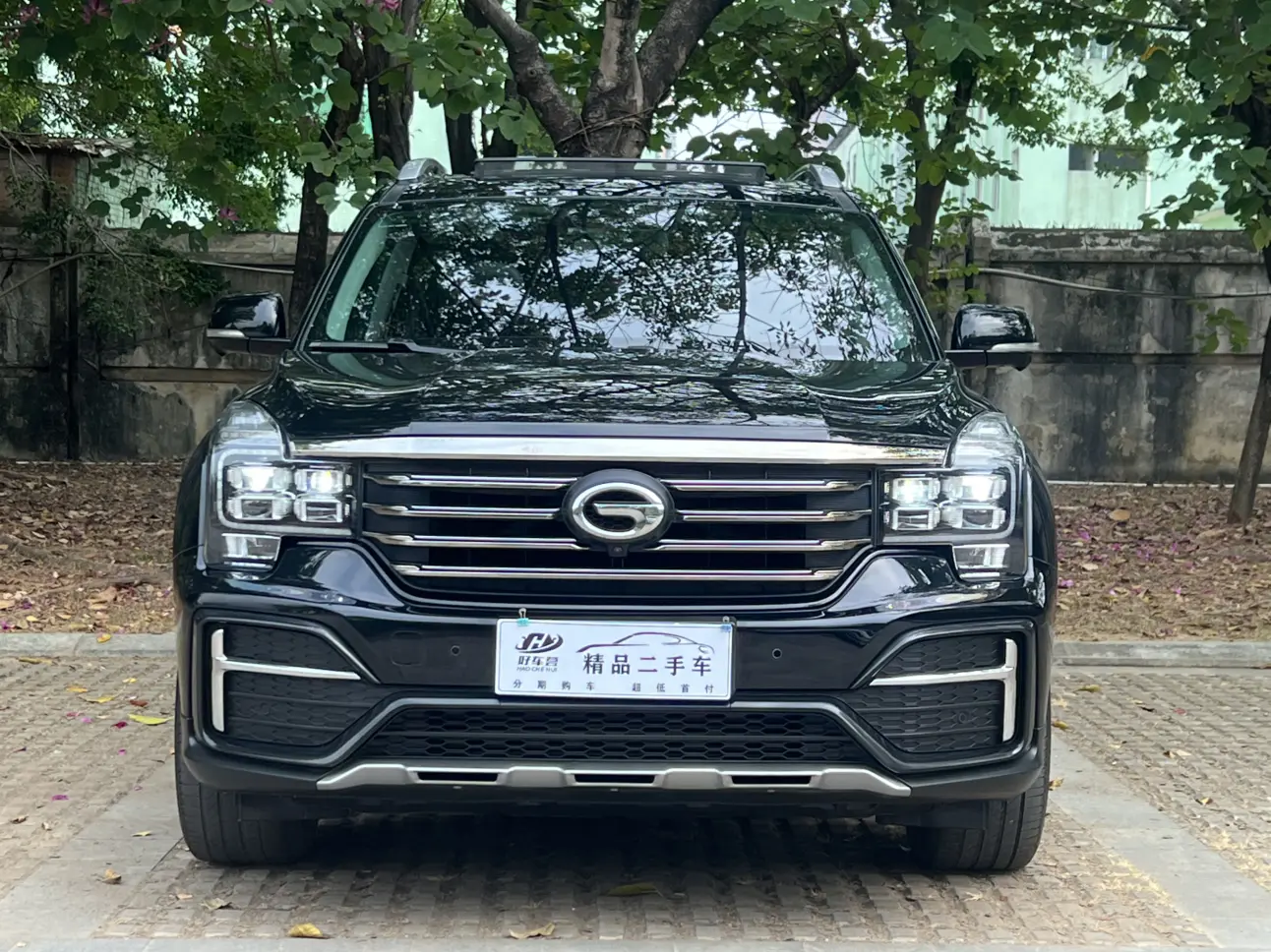 GAC Trumpchi GS8  из Китая
