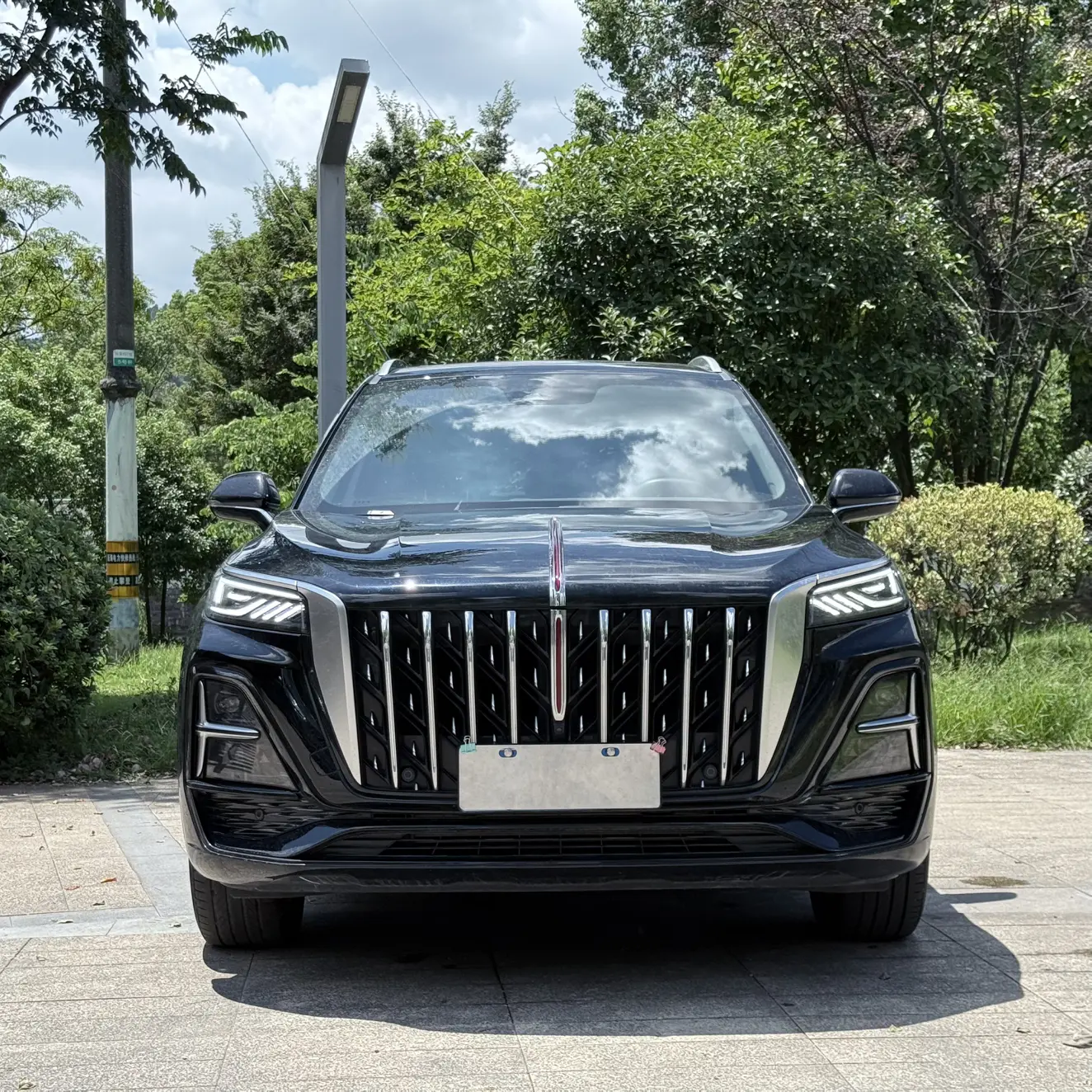 Hongqi HS5  из Китая